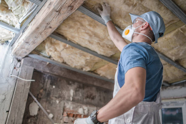 Best Spray Foam Insulation in Golden Shores, AZ