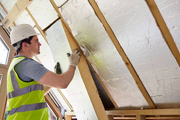 Best Specialized Insulation Services in Golden Shores, AZ