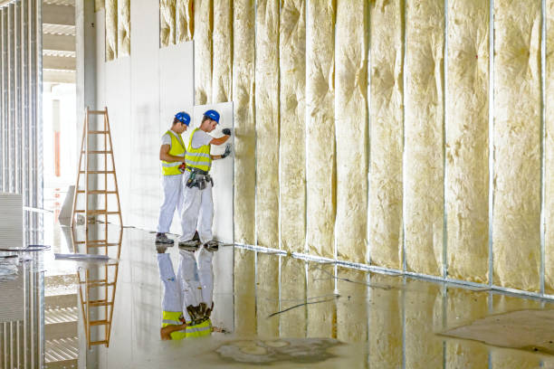 Types of Insulation We Offer in Golden Shores, AZ